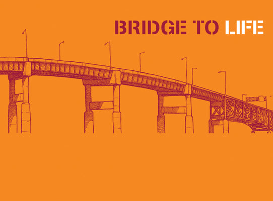 Bridge to Life (orange) 25-pack