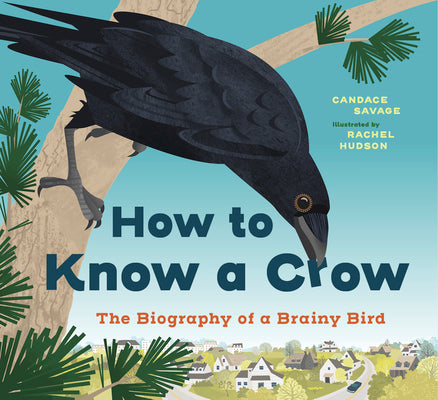 How to Know a Crow: The Biography of a Brainy Bird