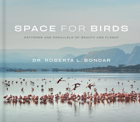 Space for Birds: Patterns and Parallels of Beauty and Flight